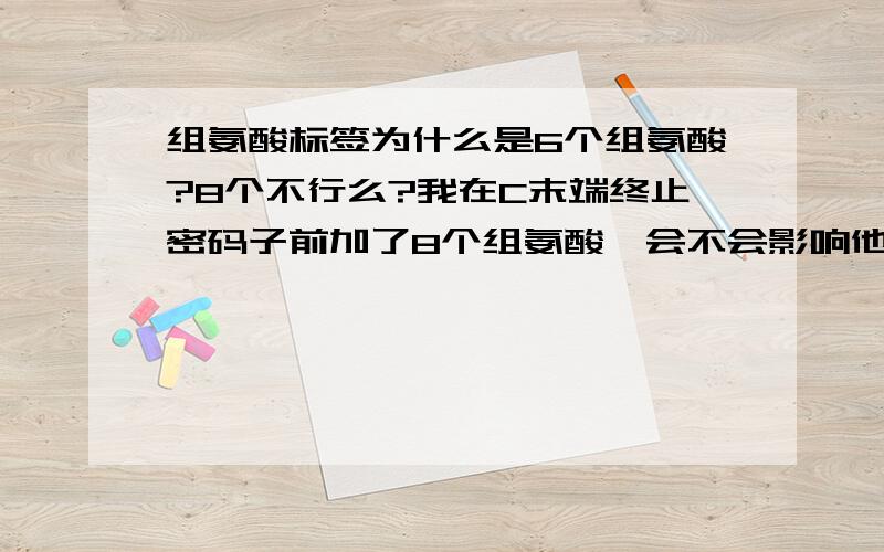 组氨酸标签为什么是6个组氨酸?8个不行么?我在C末端终止密码子前加了8个组氨酸,会不会影响他与抗体结合