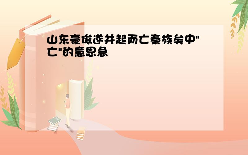 山东豪俊遂并起而亡秦族矣中