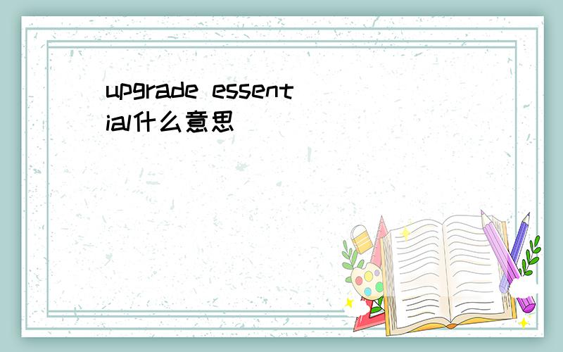 upgrade essential什么意思