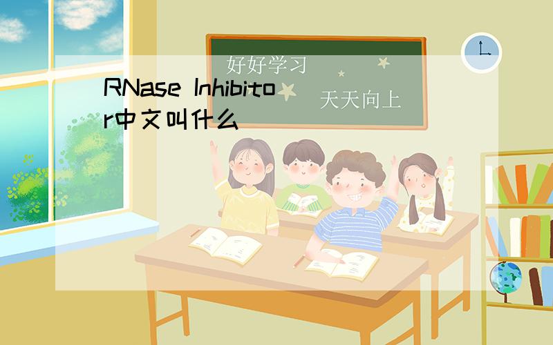 RNase Inhibitor中文叫什么