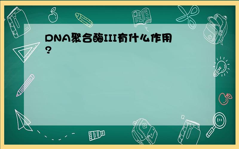 DNA聚合酶III有什么作用?