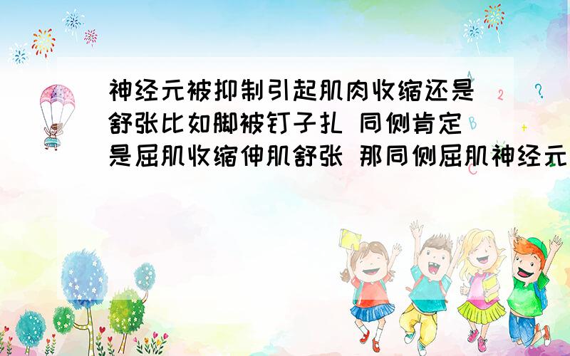 神经元被抑制引起肌肉收缩还是舒张比如脚被钉子扎 同侧肯定是屈肌收缩伸肌舒张 那同侧屈肌神经元是被抑制还是兴奋?