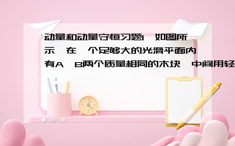 动量和动量守恒习题1、如图所示,在一个足够大的光滑平面内有A、B两个质量相同的木块,中间用轻质弹簧相连 .今对B施以水平冲量F△t（△t极短）.此后A、B的情况是 ( )(A)在任意时刻,A、B加速