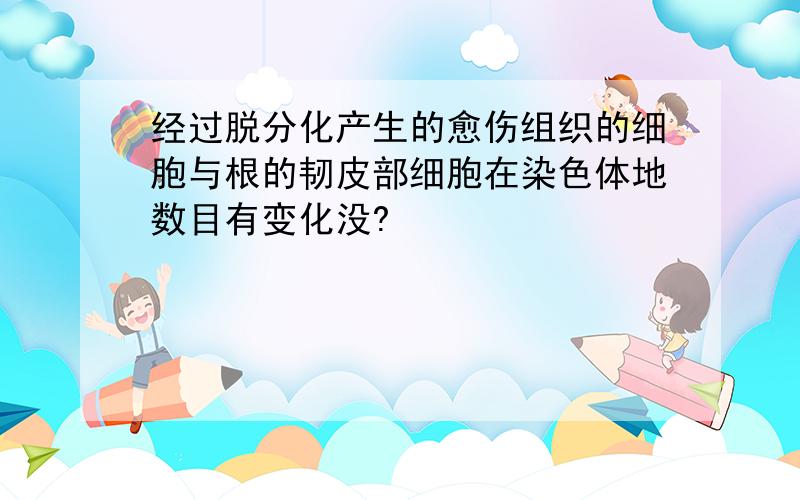 经过脱分化产生的愈伤组织的细胞与根的韧皮部细胞在染色体地数目有变化没?