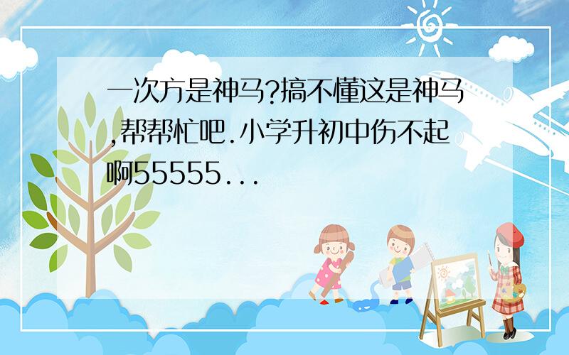 一次方是神马?搞不懂这是神马,帮帮忙吧.小学升初中伤不起啊55555...