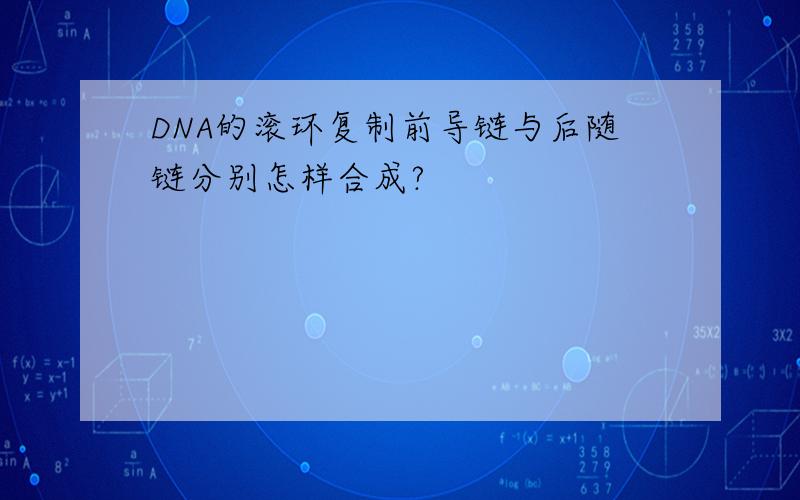 DNA的滚环复制前导链与后随链分别怎样合成?