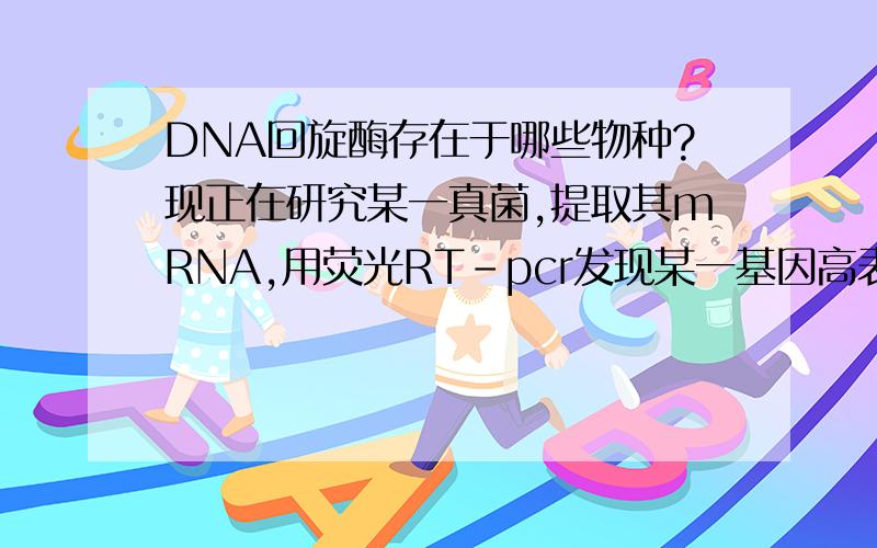 DNA回旋酶存在于哪些物种?现正在研究某一真菌,提取其mRNA,用荧光RT-pcr发现某一基因高表达,通过序列比对发现该基因与DNA回旋酶b亚基相似,但有些文章显示该基因为细菌特有!该基因通过体内