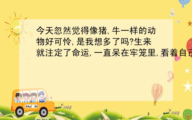 今天忽然觉得像猪,牛一样的动物好可怜,是我想多了吗?生来就注定了命运,一直呆在牢笼里,看着自己的父母被宰着吃掉,却只能等待自己那一刻的到来,人类不会因为杀掉动物而感到罪恶,我也