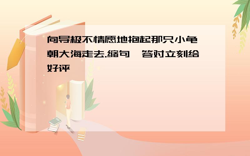 向导极不情愿地抱起那只小龟,朝大海走去.缩句,答对立刻给好评