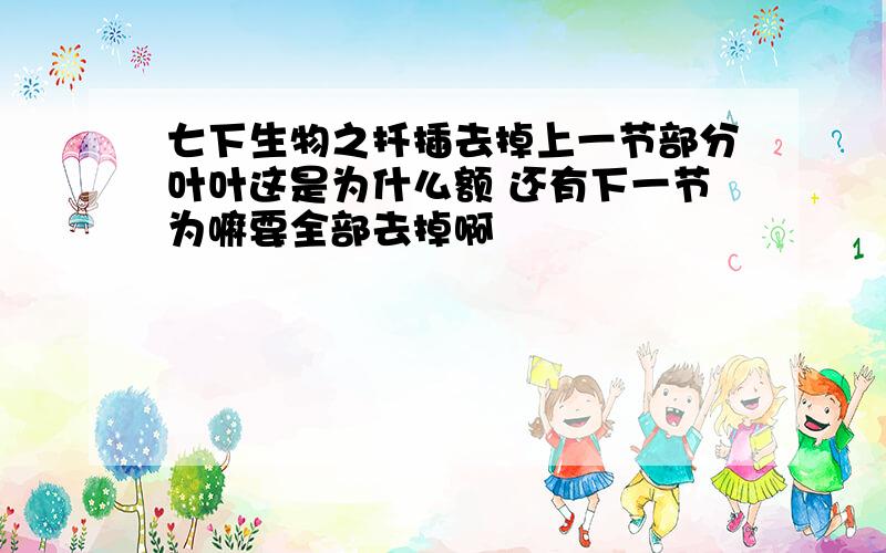 七下生物之扦插去掉上一节部分叶叶这是为什么额 还有下一节为嘛要全部去掉啊