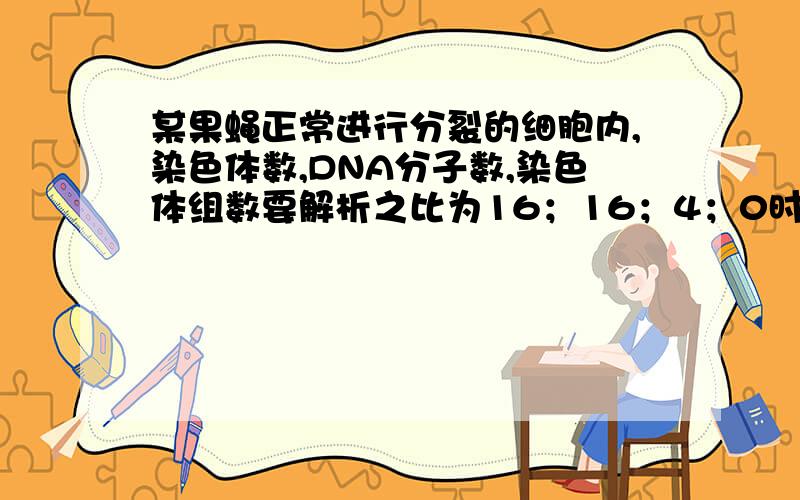 某果蝇正常进行分裂的细胞内,染色体数,DNA分子数,染色体组数要解析之比为16；16；4；0时，则该细胞处于A有死后   B件数第一次后   C有丝分裂时期   D键鼠第二次分裂后