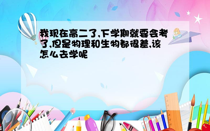 我现在高二了,下学期就要会考了,但是物理和生物都很差,该怎么去学呢