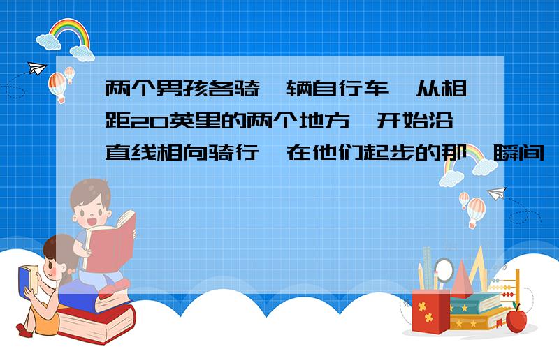 两个男孩各骑一辆自行车,从相距20英里的两个地方,开始沿直线相向骑行,在他们起步的那一瞬间,一辆自行车车把上的一只苍蝇,开始向另一辆自行车径直飞去,它一到达另一辆自行车车把,就立