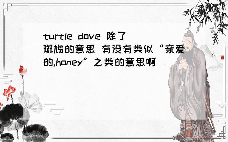 turtle dove 除了斑鸠的意思 有没有类似“亲爱的,honey”之类的意思啊