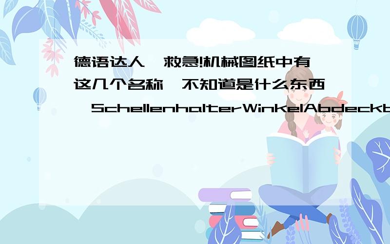 德语达人,救急!机械图纸中有这几个名称,不知道是什么东西,SchellenhalterWinkelAbdeckblechDistanzstueckBlechHalter工业上的名词,