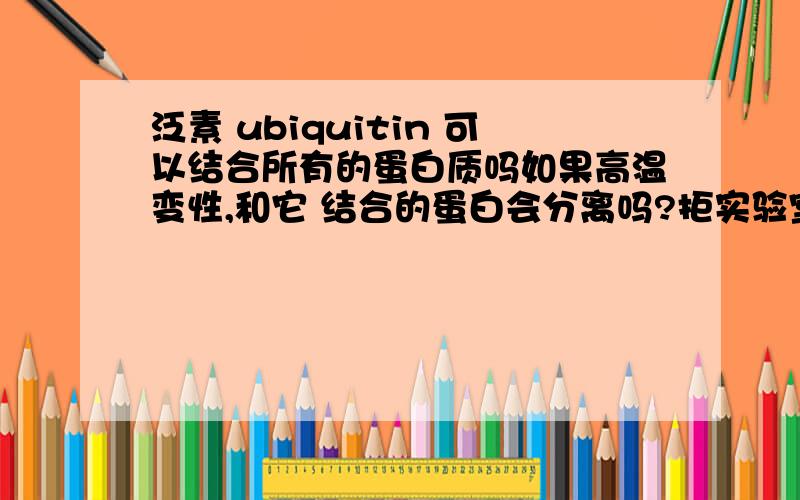 泛素 ubiquitin 可以结合所有的蛋白质吗如果高温变性,和它 结合的蛋白会分离吗?拒实验室人讲，说是 泛素可以和任何蛋白质结合 高温煮沸5分钟，普通的蛋白质都会变性，都会解离成单个多