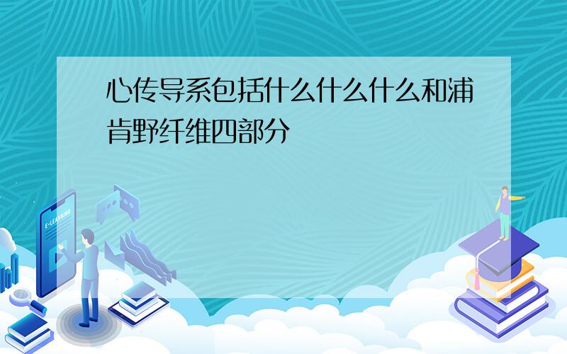 心传导系包括什么什么什么和浦肯野纤维四部分