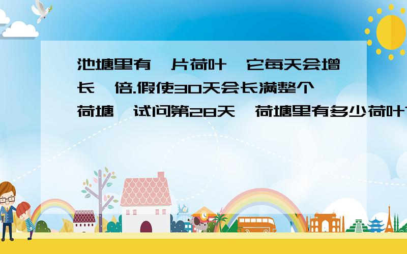 池塘里有一片荷叶,它每天会增长一倍.假使30天会长满整个荷塘,试问第28天,荷塘里有多少荷叶?一个脑筋急转弯,说明一个深刻的道理!