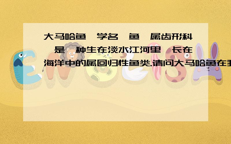 大马哈鱼,学名鲑鱼,属齿形科,是一种生在淡水江河里,长在海洋中的属回归性鱼类.请问大马哈鱼在我国原产于哪里?