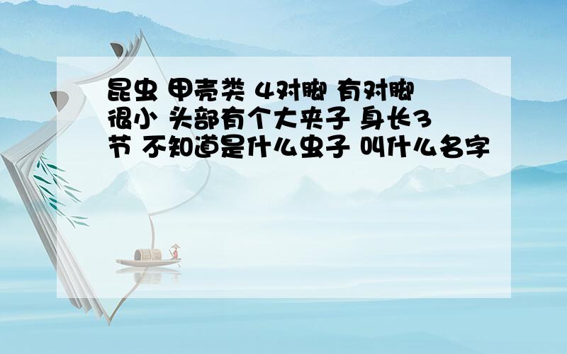 昆虫 甲壳类 4对脚 有对脚很小 头部有个大夹子 身长3节 不知道是什么虫子 叫什么名字