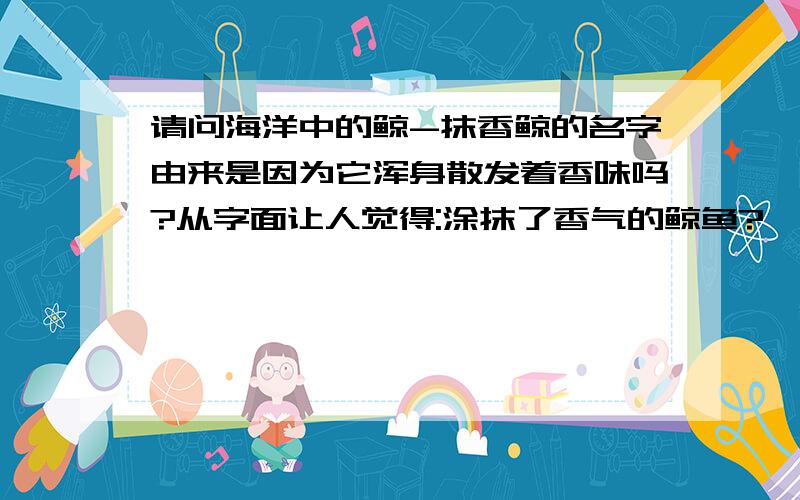 请问海洋中的鲸-抹香鲸的名字由来是因为它浑身散发着香味吗?从字面让人觉得:涂抹了香气的鲸鱼?