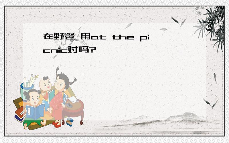 在野餐 用at the picnic对吗?