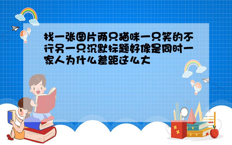 找一张图片两只猫咪一只笑的不行另一只沉默标题好像是同时一家人为什么差距这么大