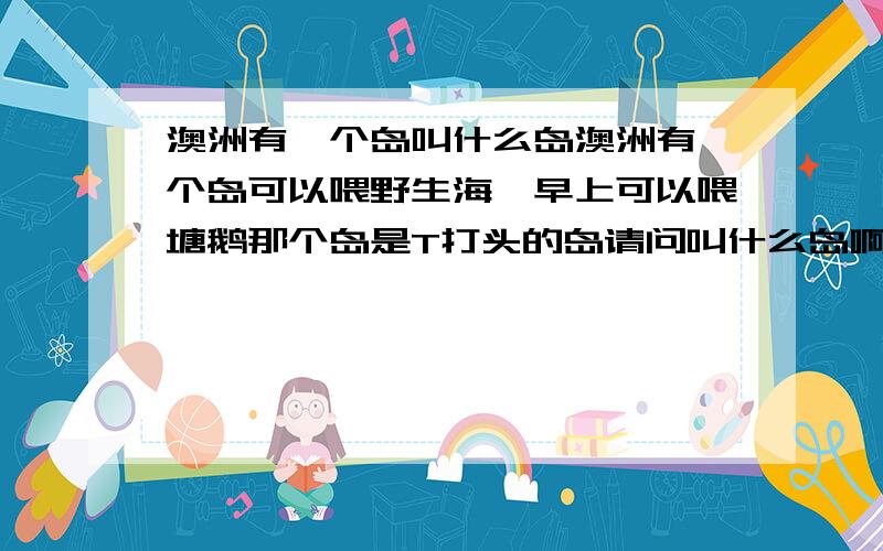 澳洲有一个岛叫什么岛澳洲有一个岛可以喂野生海豚早上可以喂塘鹅那个岛是T打头的岛请问叫什么岛啊?是哪个洲的?（澳大利亚的六个洲之一）即用!请将岛名用英文书写