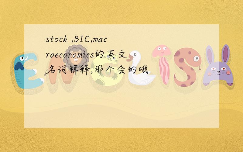 stock ,BIC,macroeconomics的英文名词解释,那个会的哦