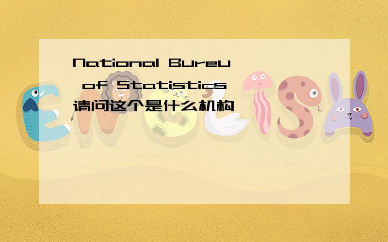 National Bureu of Statistics请问这个是什么机构,