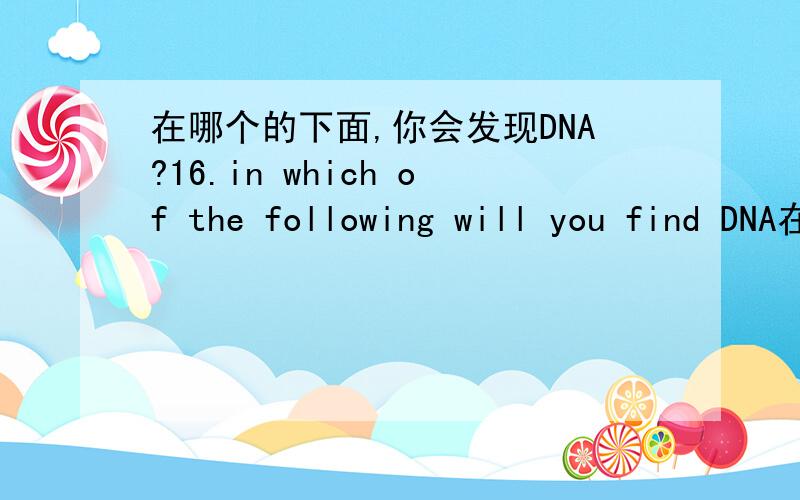 在哪个的下面,你会发现DNA?16.in which of the following will you find DNA在它的下面,你会发现DNAA.prokaryotic cells原核细胞B.The nucleus细胞核C.Mitochondrion线粒体D.Chloroplasts叶绿体E.All of the above