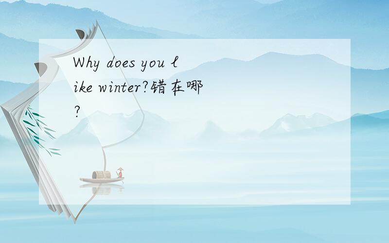 Why does you like winter?错在哪?