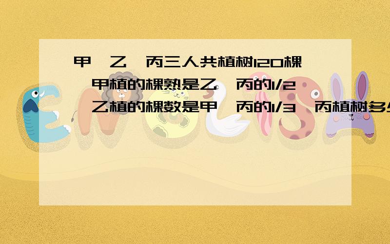 甲、乙、丙三人共植树120棵,甲植的棵熟是乙、丙的1/2,乙植的棵数是甲、丙的1/3,丙植树多少棵?甲是...甲、乙、丙三人共植树120棵,是乙、丙的1/2,乙植的棵数是甲、丙的1/3,丙植树多少棵?甲是..