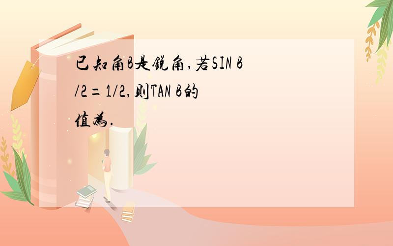 已知角B是锐角,若SIN B/2=1/2,则TAN B的值为.