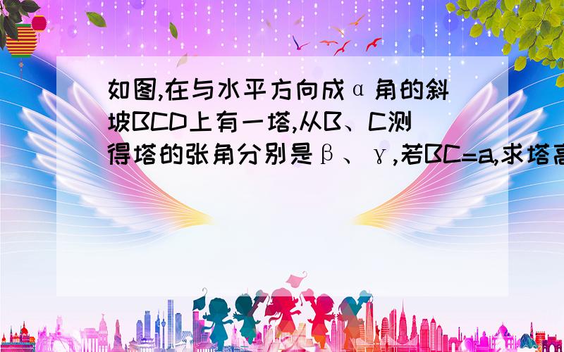 如图,在与水平方向成α角的斜坡BCD上有一塔,从B、C测得塔的张角分别是β、γ,若BC=a,求塔高AD.