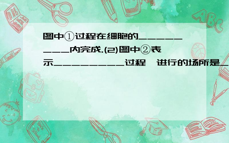 图中①过程在细胞的________内完成.(2)图中②表示________过程,进行的场所是__________.(3)若乙分子中G=15%,C=25%,则甲分子的相应片段中鸟嘌呤占____________.(4)若甲分子中含有200个腺嘌呤,则甲分子连续