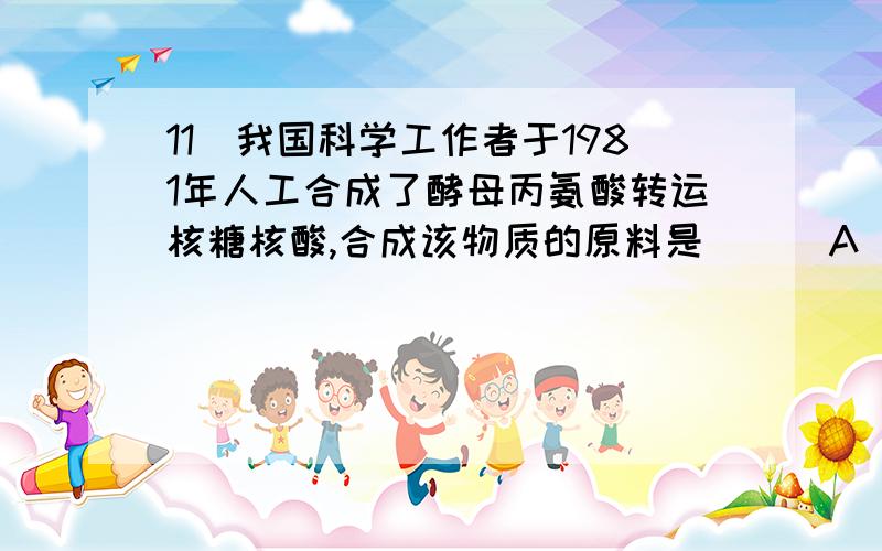 11．我国科学工作者于1981年人工合成了酵母丙氨酸转运核糖核酸,合成该物质的原料是（ ） A．丙氨酸、核糖