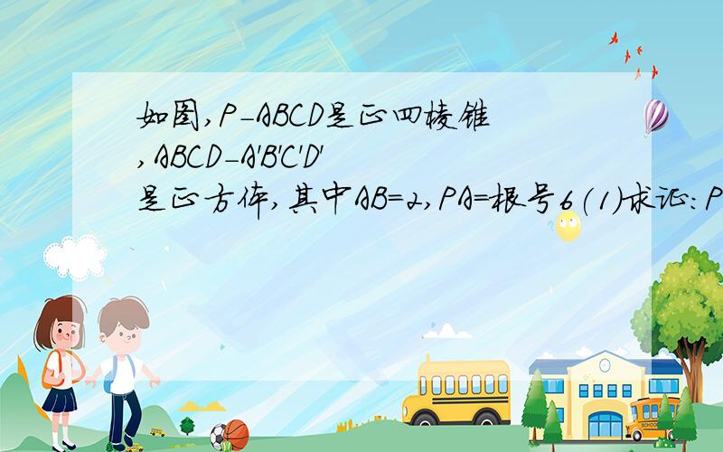 如图,P-ABCD是正四棱锥,ABCD-A'B'C'D'是正方体,其中AB=2,PA=根号6(1)求证:PA⊥B'D'(2)求平面PAD与平面BDD'B'所成的锐二面角的正切值