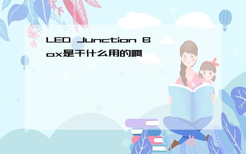 LED Junction Box是干什么用的啊