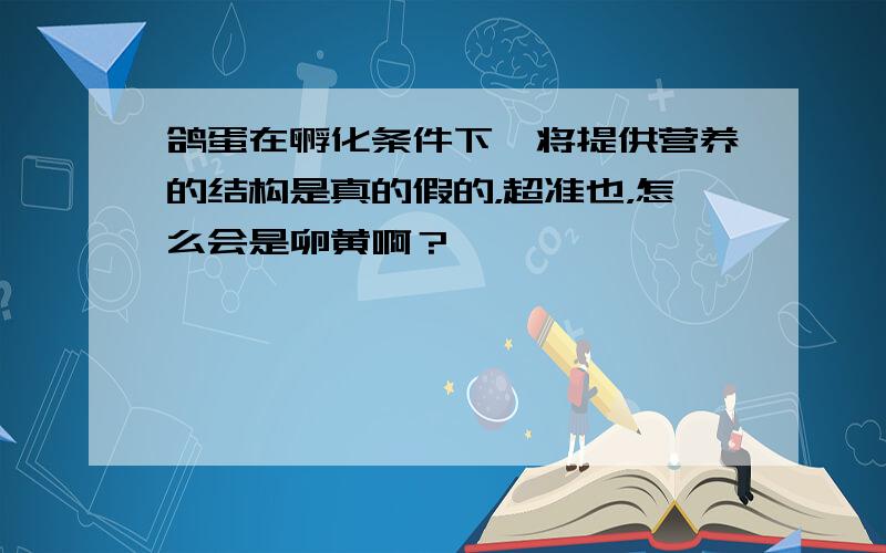 鸽蛋在孵化条件下,将提供营养的结构是真的假的，超准也，怎么会是卵黄啊？