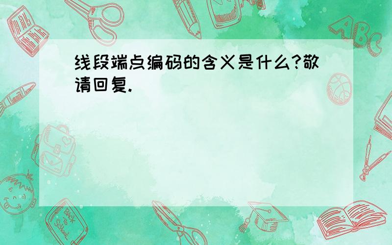 线段端点编码的含义是什么?敬请回复.