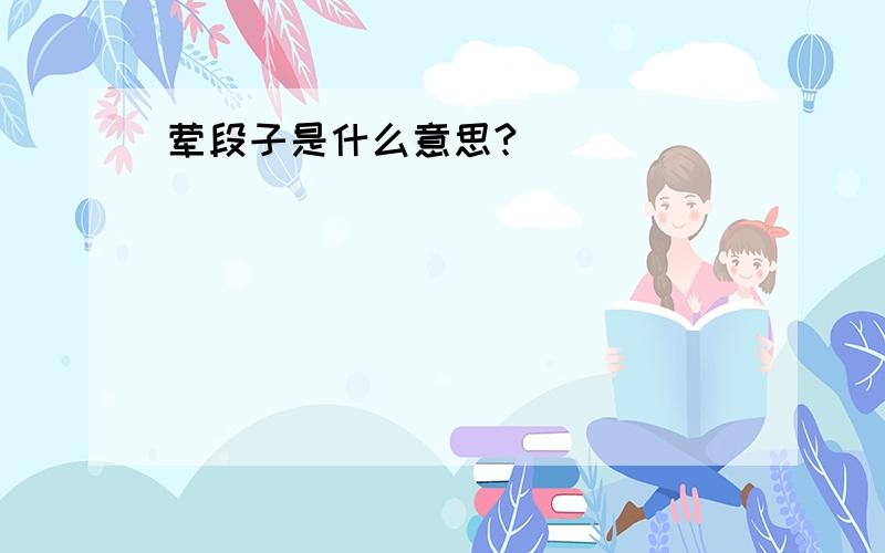 荤段子是什么意思?