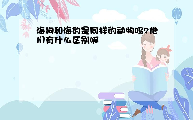 海狗和海豹是同样的动物吗?他们有什么区别啊