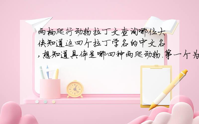 两栖爬行动物拉丁文查询哪位大侠知道这四个拉丁学名的中文名,想知道具体是哪四种两爬动物.第一个为蟾蜍,后面三个是蜥蜴.Bufo spinulosus Liolaemus bellii、Liolaemus nigroviridis和Liolaemus moradoensis.