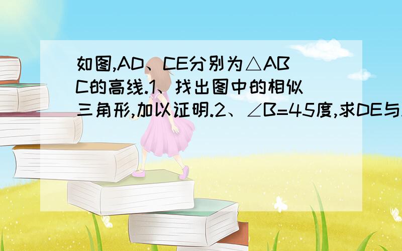 如图,AD、CE分别为△ABC的高线.1、找出图中的相似三角形,加以证明.2、∠B=45度,求DE与AC的数量关系