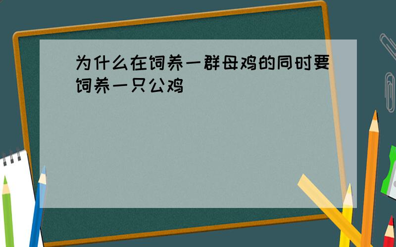 为什么在饲养一群母鸡的同时要饲养一只公鸡