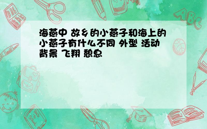 海燕中 故乡的小燕子和海上的小燕子有什么不同 外型 活动背景 飞翔 憩息