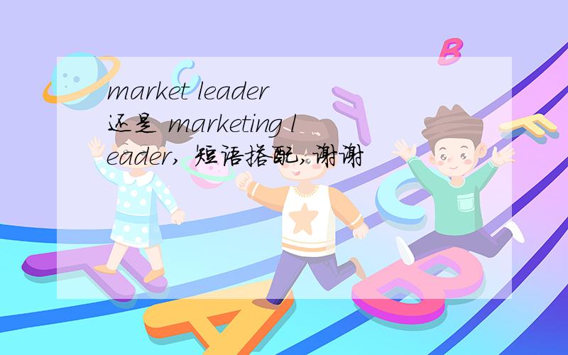 market leader 还是 marketing leader, 短语搭配,谢谢