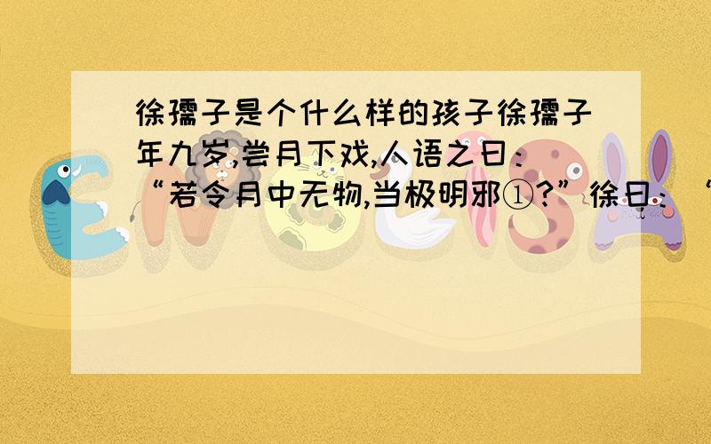 徐孺子是个什么样的孩子徐孺子年九岁,尝月下戏,人语之曰：“若令月中无物,当极明邪①?”徐曰：“不然.譬如人眼中有瞳子,无此,必不明.” 【注释】 ①若令：如果.物：指人和事物.神话传