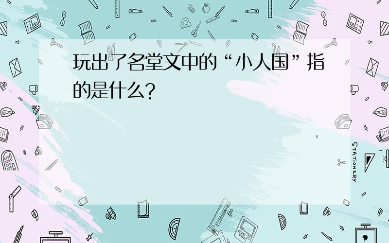 玩出了名堂文中的“小人国”指的是什么?